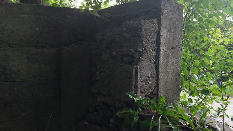 Devil's Glen Quarry Foundations - 20240822_174335.jpg