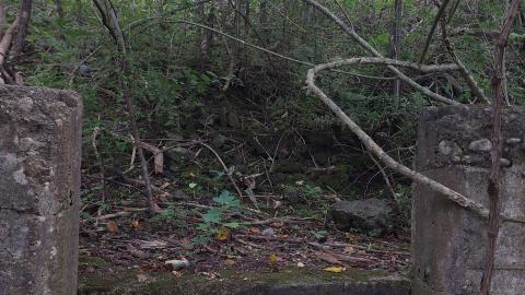 Devil's Glen Quarry Foundations - 20240822_174350.jpg