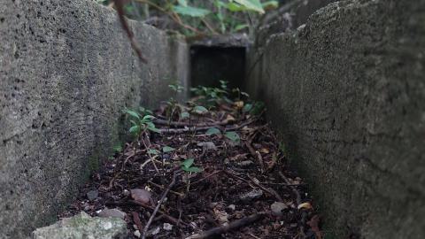 Photo from Devil's Glen Quarry Foundations