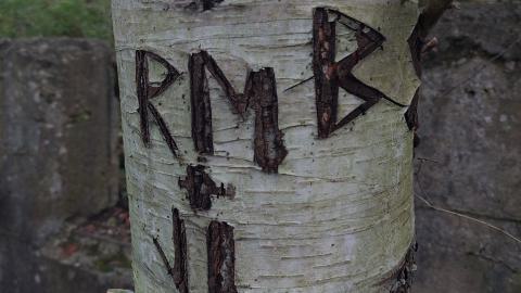 Photo from Devil's Glen Quarry Foundations