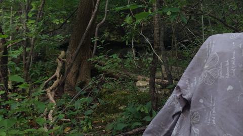 Photo from Devil's Glen Quarry Foundations