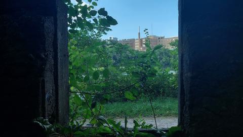 Devil's Glen Quarry Foundations - 20240822_174809.jpg