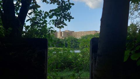 Devil's Glen Quarry Foundations - 20240822_174839.jpg