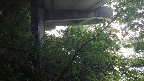 Devil's Glen Quarry Foundations - 20240822_180113.jpg