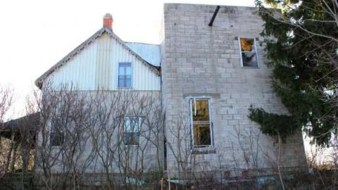 Hidden behind the Trees cover photo