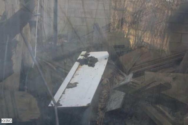 Hidden Behind the Trees photo 2