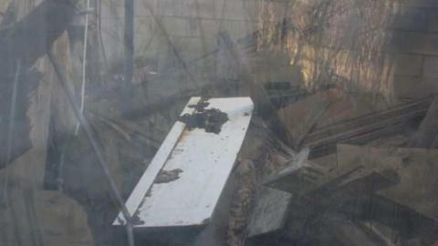 Hidden Behind the Trees photo 2