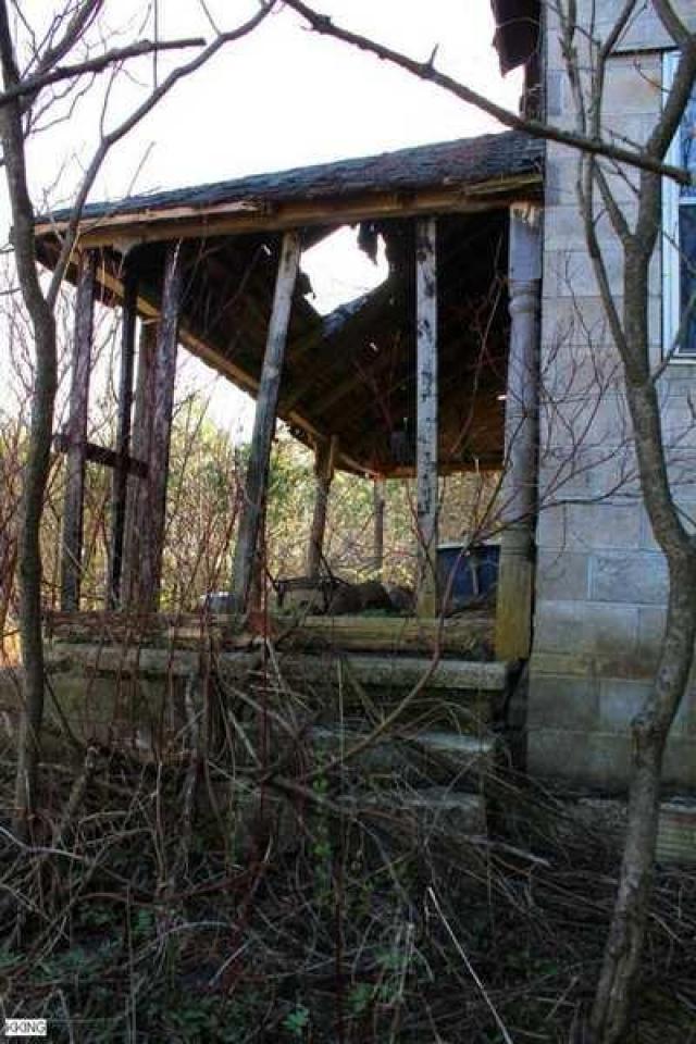 Hidden Behind the Trees photo 3