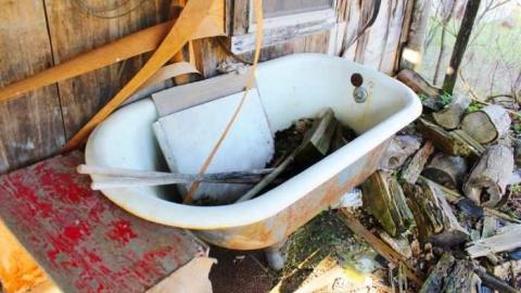 Hidden Behind the Trees photo 4