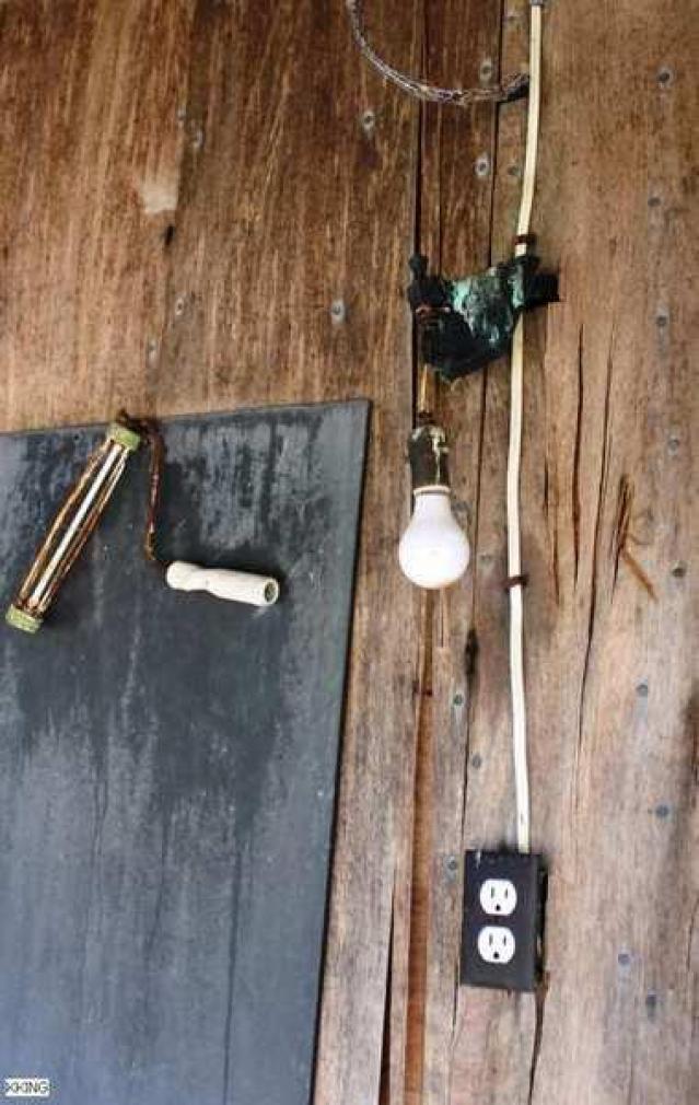 Hidden Behind the Trees photo 3