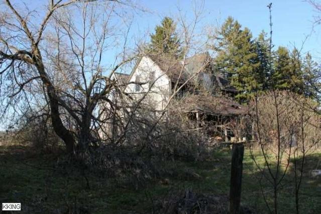 Hidden Behind the Trees photo 5