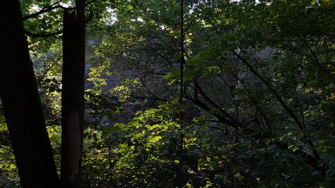 Photo from German Woolen Mill Ruins