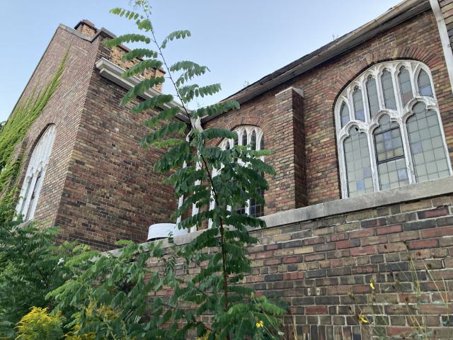 Mistakes Will Be Made - IMG_4615.jpeg