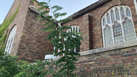 Mistakes Will Be Made - IMG_4615.jpeg