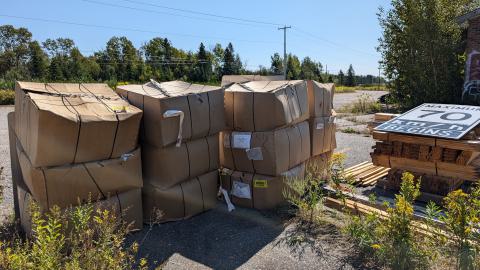 August 2024 - PXL_20240831_160658071.jpg