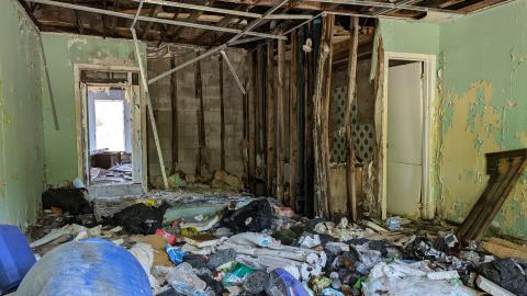 August 2024 - PXL_20240831_160343833.jpg