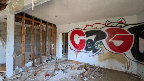 August 2024 - PXL_20240831_155952206.jpg