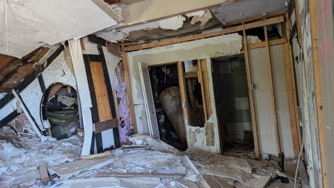 August 2024 - PXL_20240831_155632858.MP.jpg