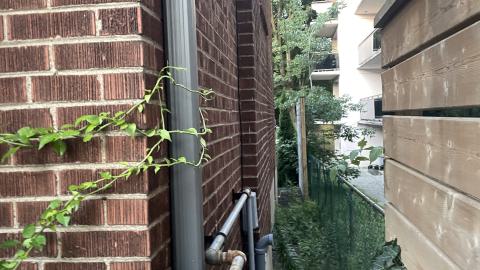 Photo from Been a hot minute