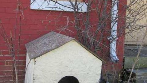 Farmhouse - Abandoned-Creditview-Farm22.jpg