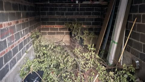 Been a hot minute - IMG_4135.jpeg