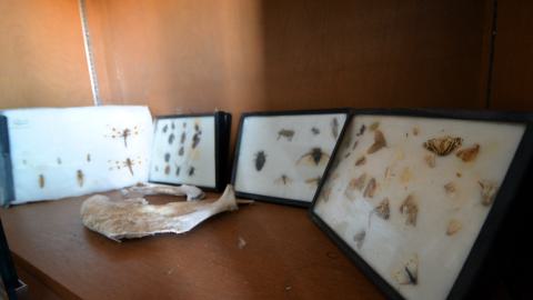 Ice Cold Brains - March 2016 - DSC_0006.JPG