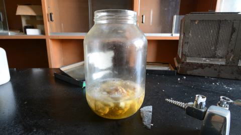 Ice Cold Brains - March 2016 - DSC_0007.JPG