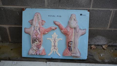 Photo from Ice Cold Brains - March 2016