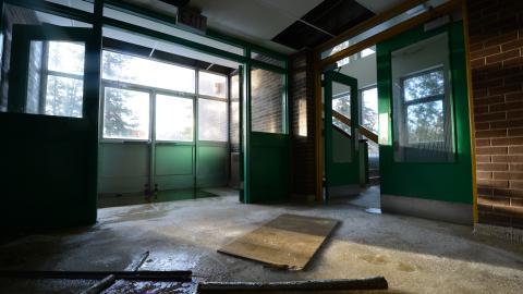 Ice Cold Brains - March 2016 - DSC_0115.JPG