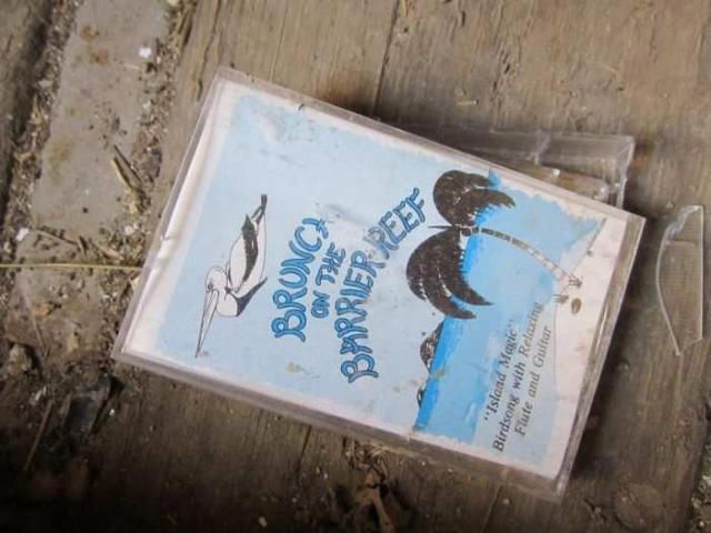 Abandoned Creditview Farm - Brampton, Ontario