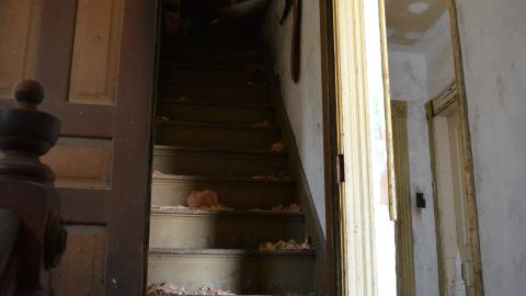 Purple Nurple - April 2014 - 13.jpg