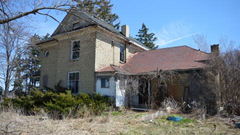 Purple Nurple - April 2014 - 17.jpg