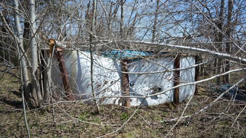 Purple Nurple - April 2014 - 18.jpg