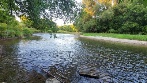 By The River - 20240905_191947.jpg