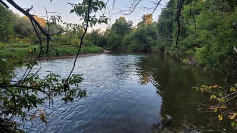 By The River - 20240905_191928.jpg