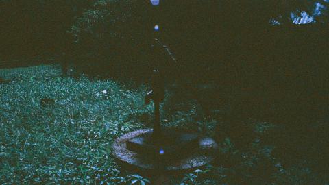 Cooper's Falls on expired 35mm film - IMG_7353.JPG