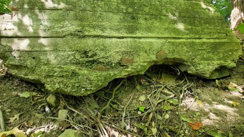 Foundations And An Oil Tank - 20240908_111203.jpg