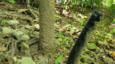 Foundations And An Oil Tank - 20240908_111259.jpg