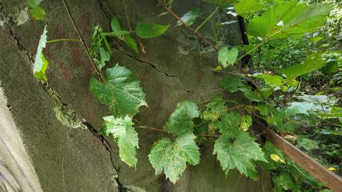 Block Of Concrete - 20240908_114549.jpg