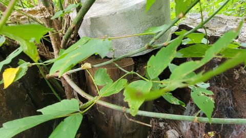 Block Of Concrete - 20240908_114642.jpg