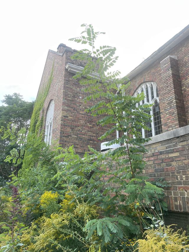 so close - IMG_4886.jpeg