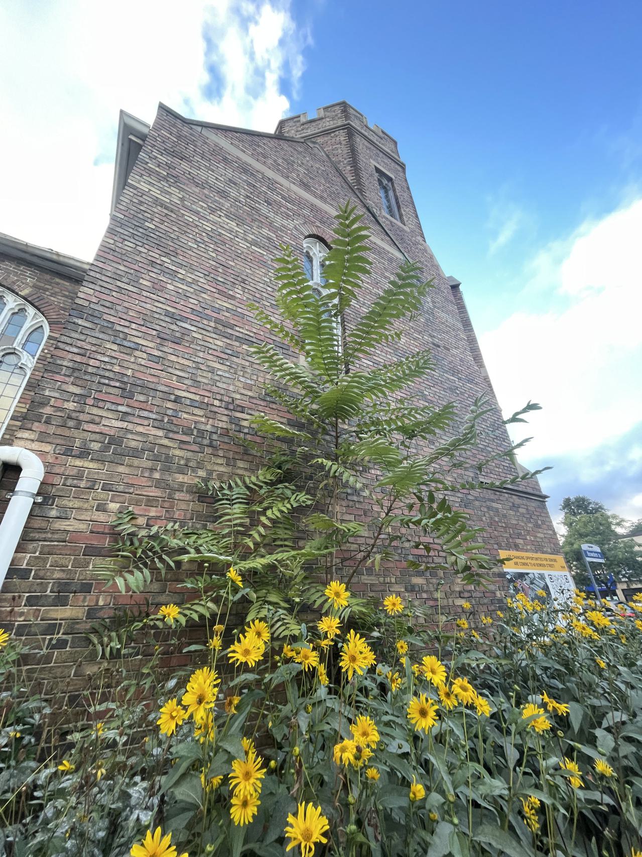 so close - IMG_4889.jpeg