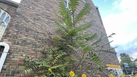 so close - IMG_4889.jpeg