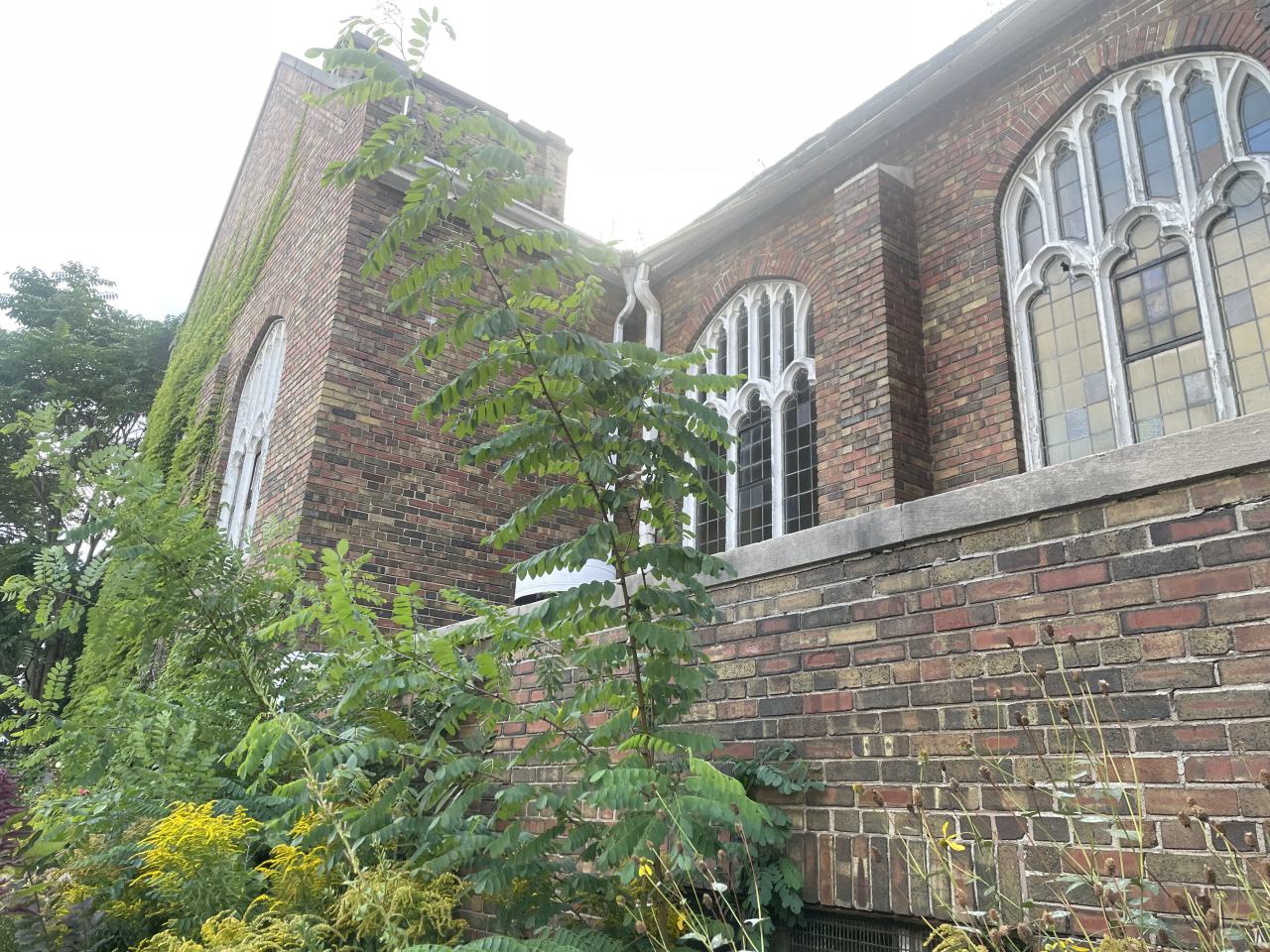 so close - IMG_4887.jpeg