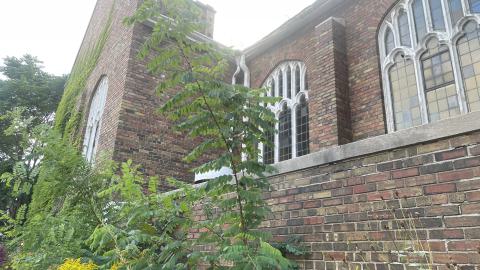 so close - IMG_4887.jpeg