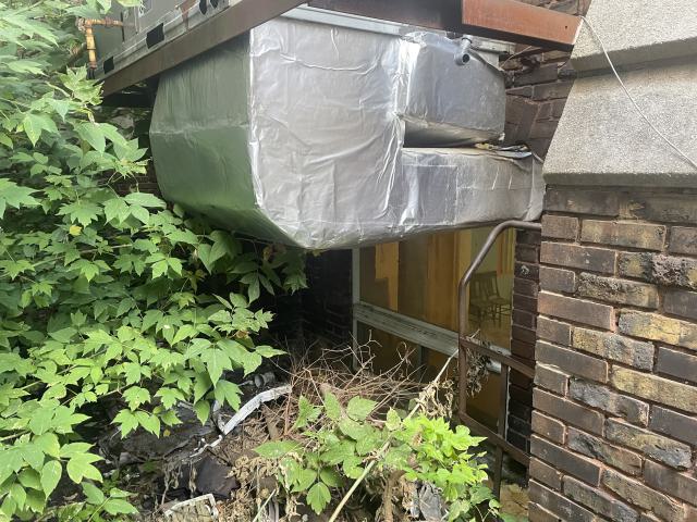 so close - IMG_4866.jpeg