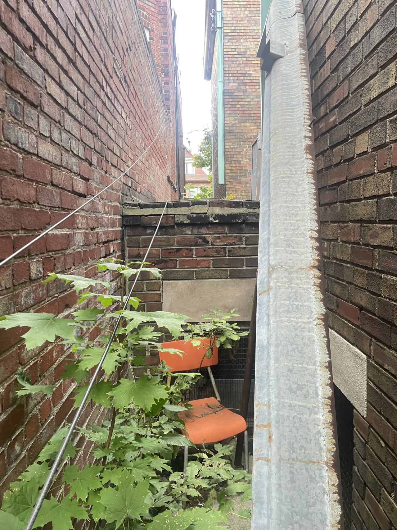 so close - IMG_4872.jpeg