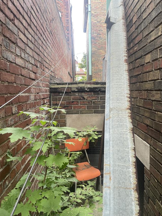 so close - IMG_4872.jpeg