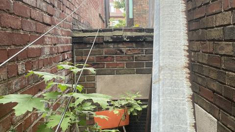 so close - IMG_4872.jpeg