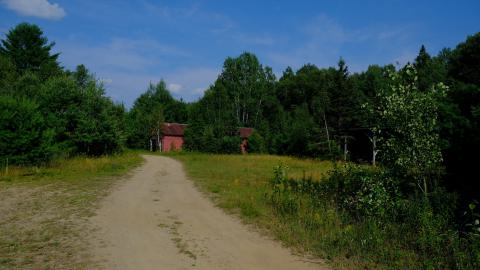 Photo from MNRF SawMill (2024)